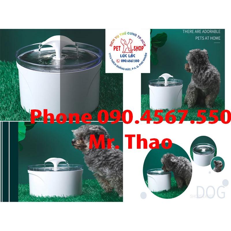 Hộp đựng thức ăn cho Chó Mèo, Tự Động,Điều khiển qua Điện Thoại 3G Wifi, Pet Feeder - Máy tự động cho Thú Cưng ăn