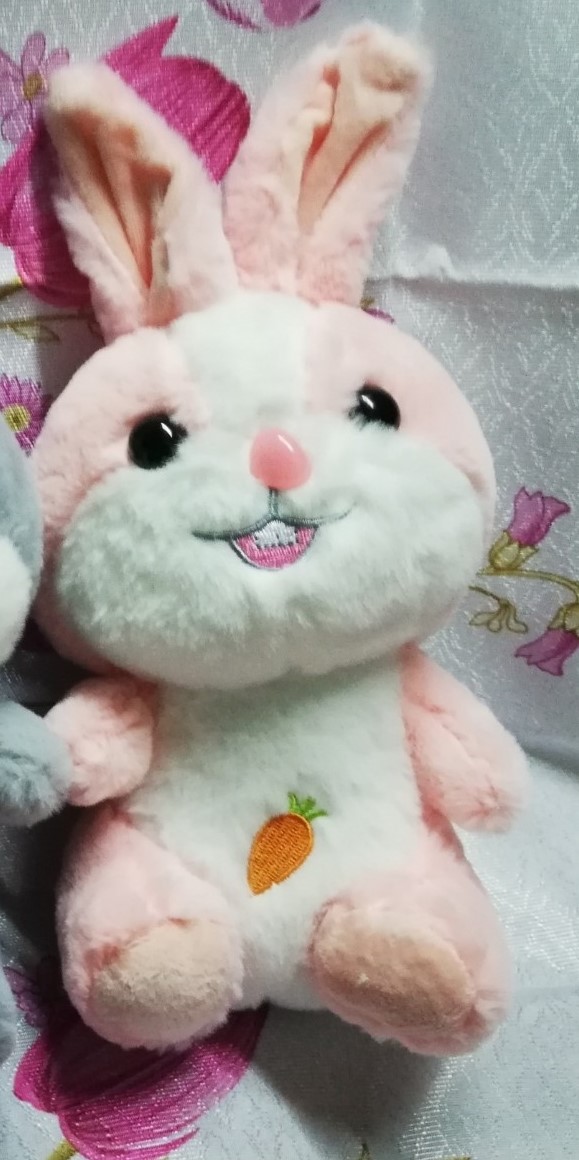 Gấu bông thú hồi bông thỏ thêu cà rốt