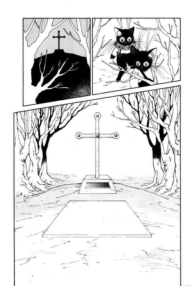 bernie's drawing diary chapter 5 25