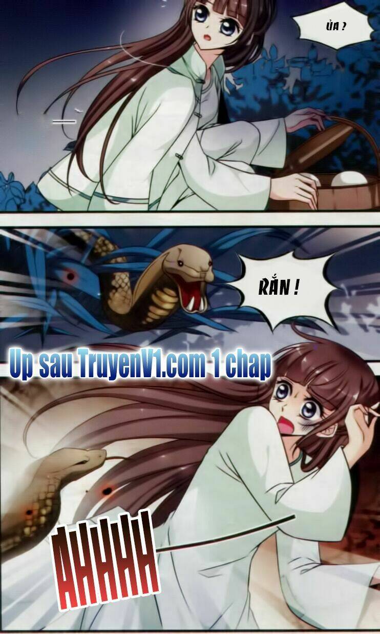 phi đãi nghiên tuyết chapter 79 24