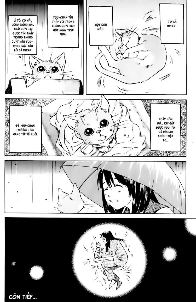 pastel chapter 123.5 21