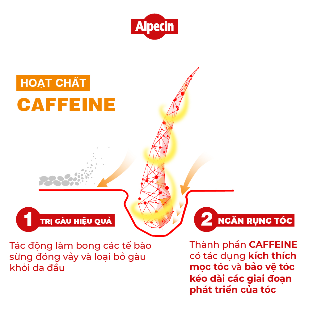 Dầu gội Caffeine Alpecin ngăn rụng tóc, giảm gàu, kích thích tóc mọc chắc khỏe, cho nam