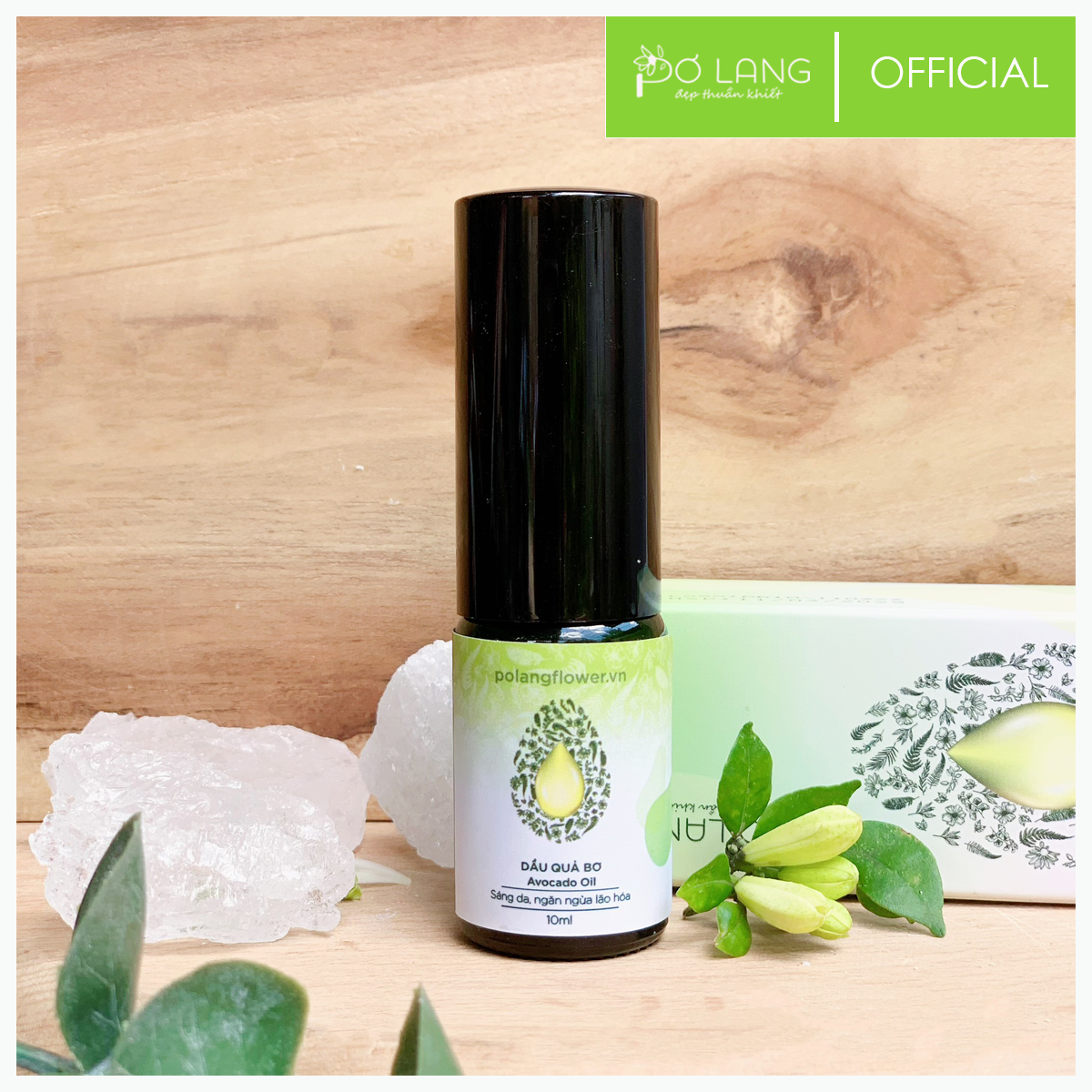 Dầu quả Bơ chống lão hóa giảm rạn da Pơ Lang 10ml