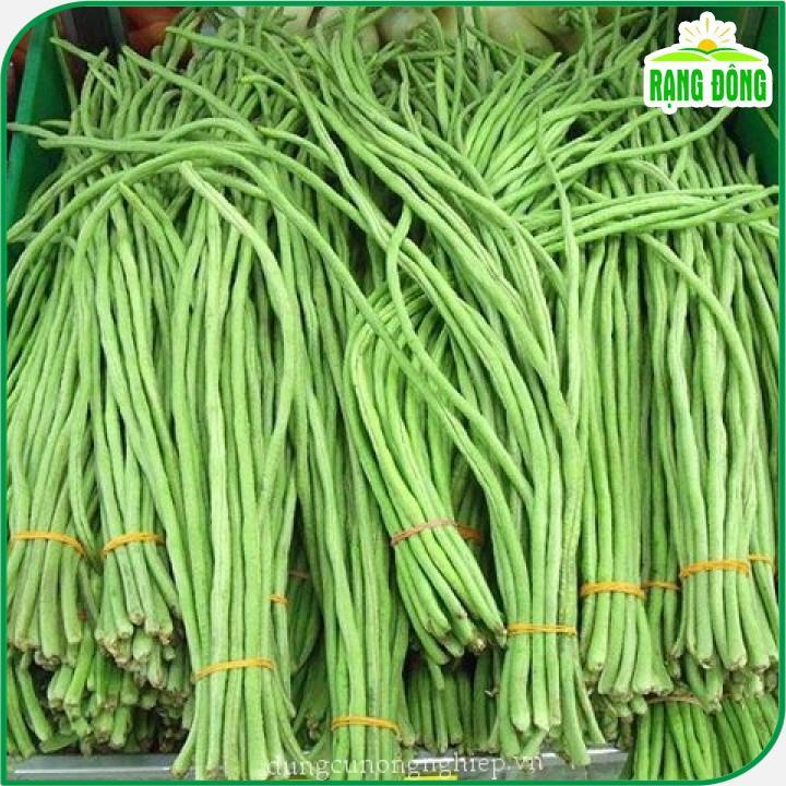 Hạt giống Đậu Đũa Ngọt Lùn Rado 757 (20g~120 hạt) trồng quanh năm, nảy mầm tốt, sinh trưởng khỏe - Hạt giống Rạng Đông