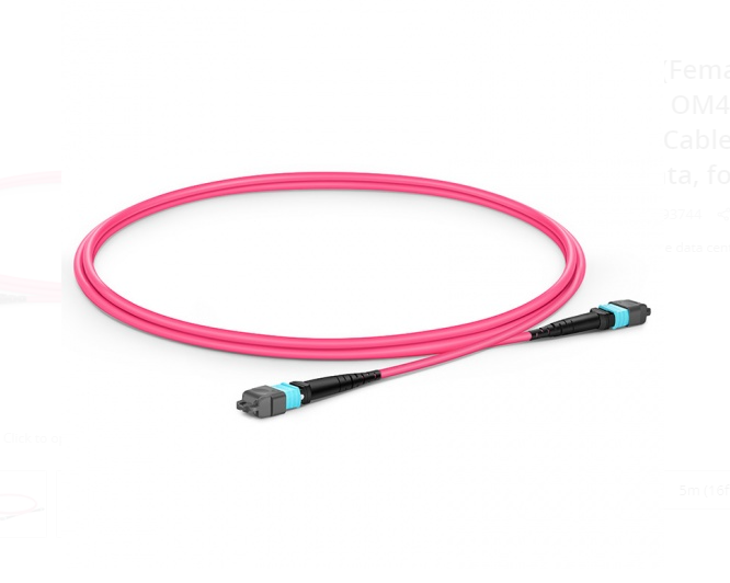 Dây nhảy quang MTP to MTP Female, OM4, 16 Fibers Elite Trunk Cable sample - Xmethod Network - Hàng chính hãng