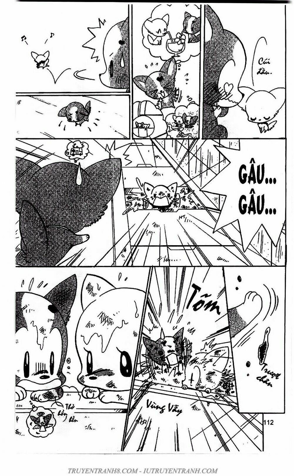 bộ sưu tập lọ lem chapter 51 10