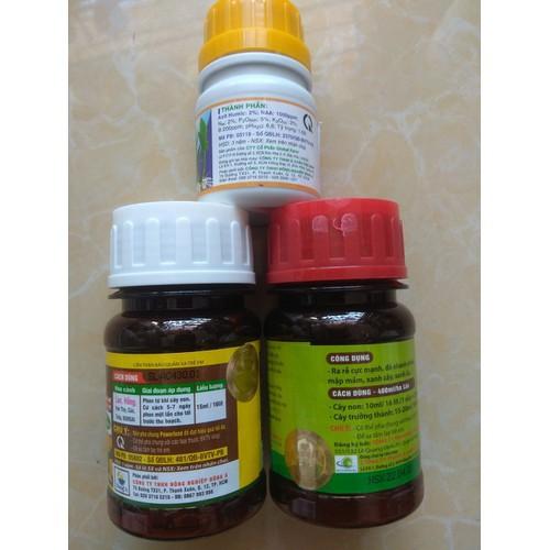 COMBO dưỡng cây chăm sóc cây mai, bông giấy ( Ac roots+Seasol+VK humat) - 100ml/chai