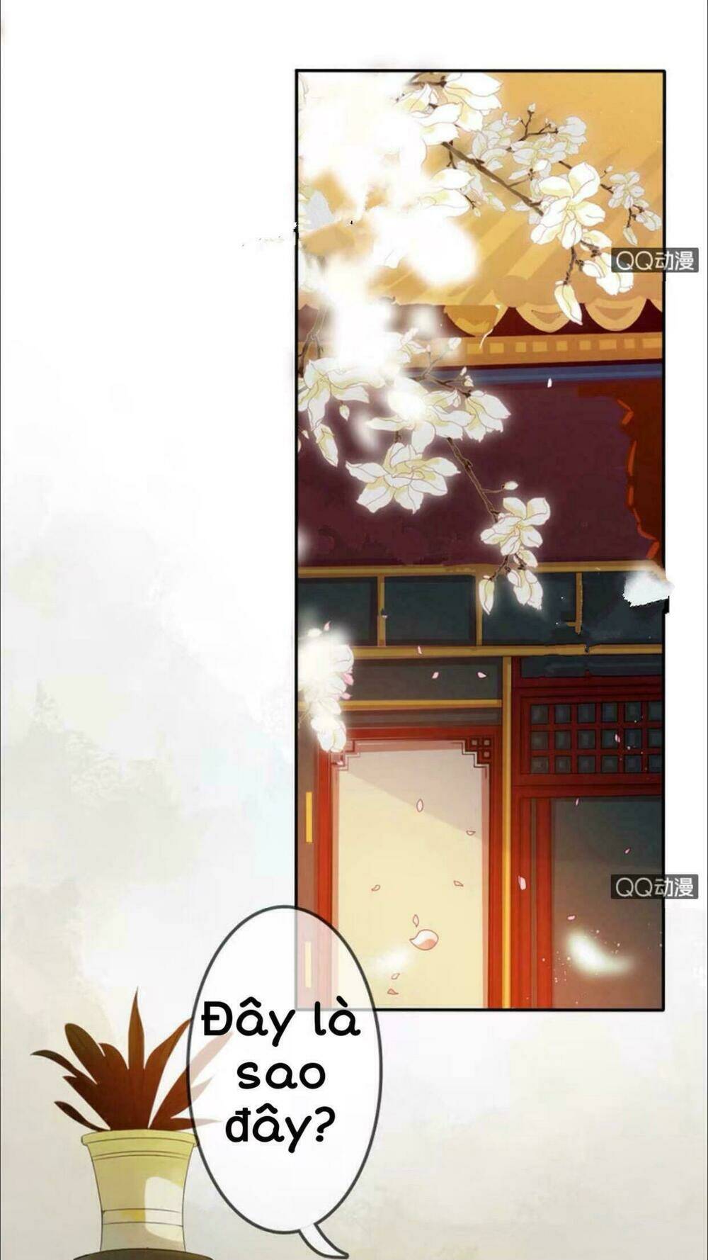 sủng phi của vương chapter 10 25