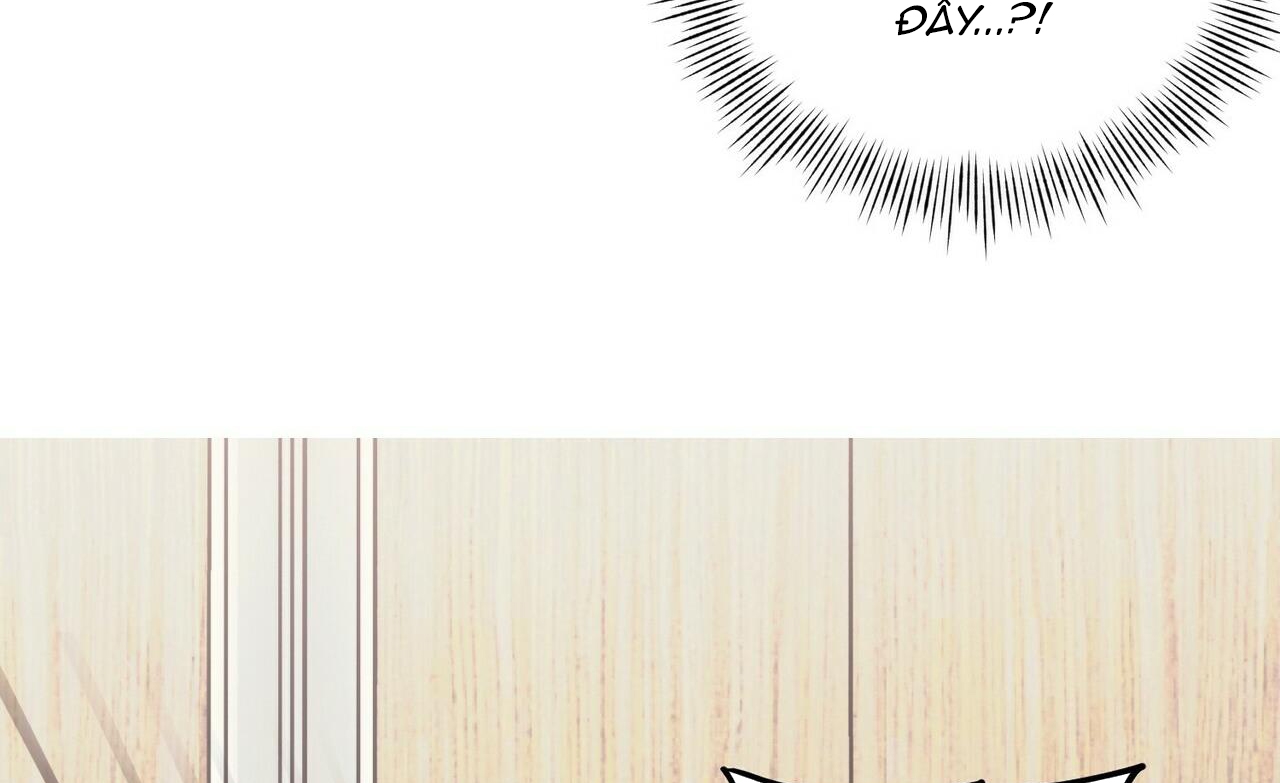 chàng dâu nhà họ kang chapter 16 54