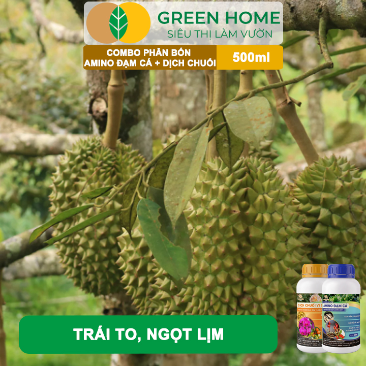 Combo Phân Bón Hữu Cơ Đạm Cá + Dịch Chuối GreenHome, 500ml, Kích Rễ, Bung Đọt, Tăng Đậu Trái To Ngọt