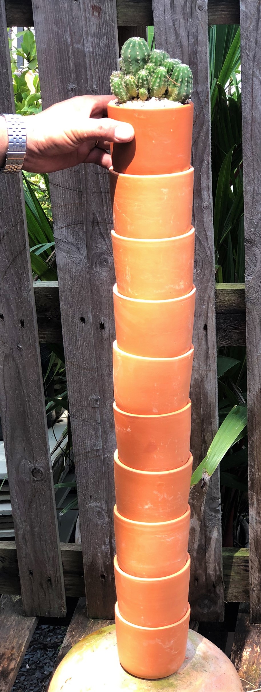 Bộ 10 chậu đất nung trồng xương rồng sen đá hình trụ rộng 9,5 cm x cao 8 cm