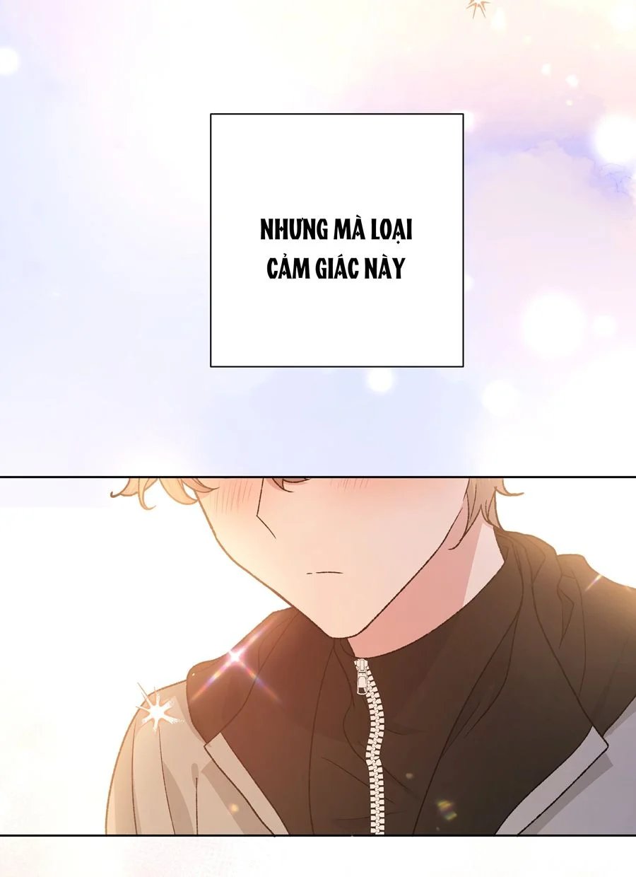 đừng nói yêu tôi (don't say you love me) chapter 77 21