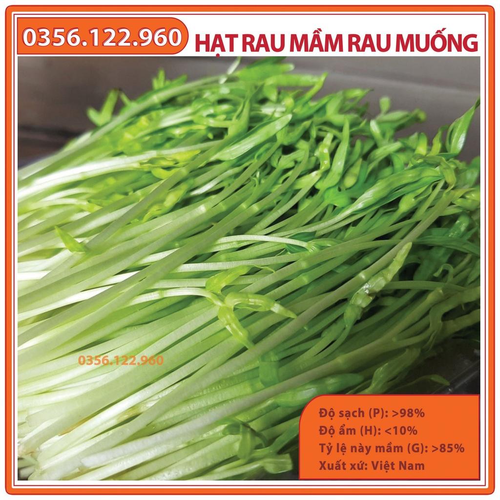 Combo 10 Gói 50gam Hạt rau mầm rau muống - Hạt đểu đẹp, tỷ lện nảy mầm cao