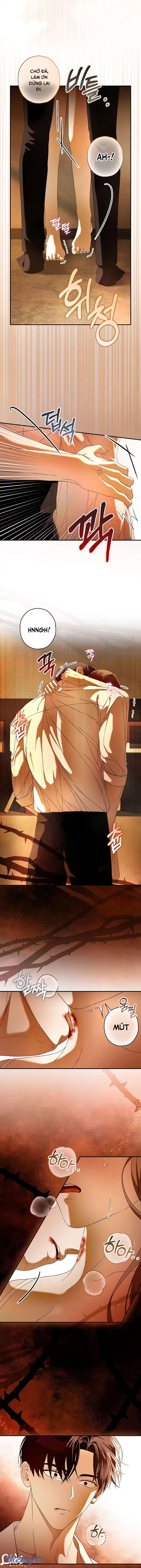 chuỗi thức ăn chapter 31 14