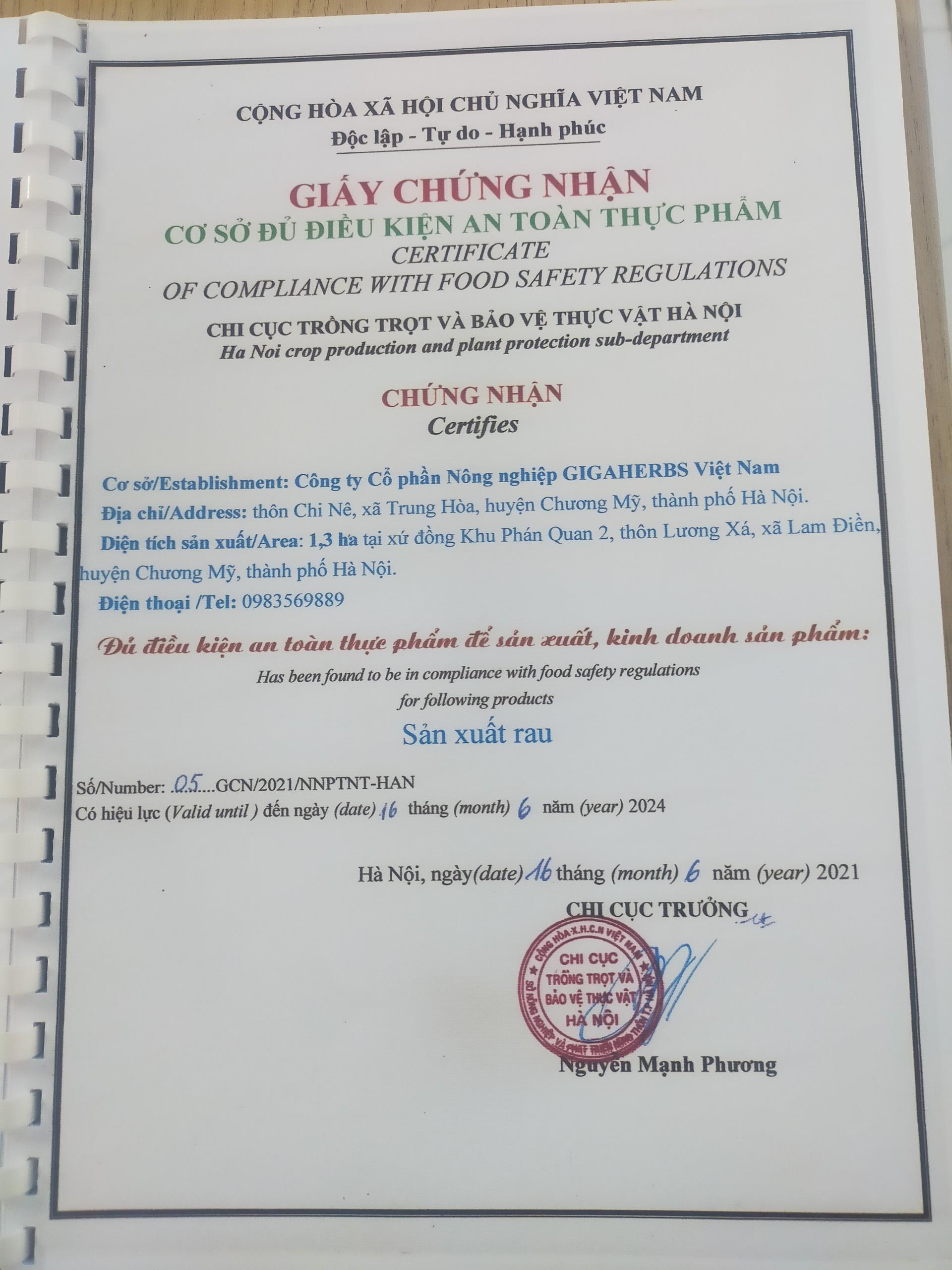 Trà Túi lọc Tía Tô,Trà Túi lọc Rau Má Tía Tô - Giúp Thanh Nhiệt Giải Độc Mát Gan Hộp Lớn