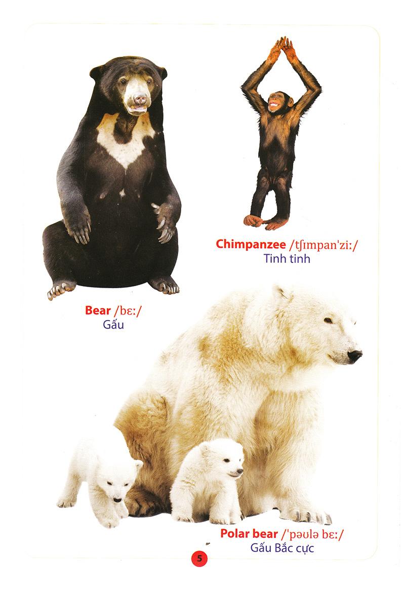 Từ Điển Anh - Việt Bằng Hình: Động Vật (Dành Cho Trẻ Từ 2 - 6 Tuổi)