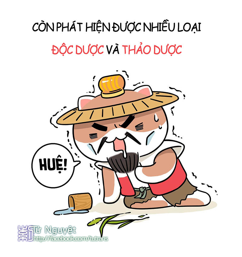 nếu lịch sử là một bầy mèo chapter 1 19