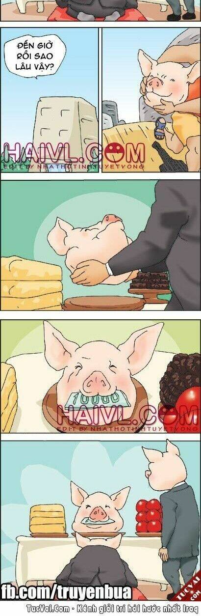 kim chi và củ cải chapter 249 2