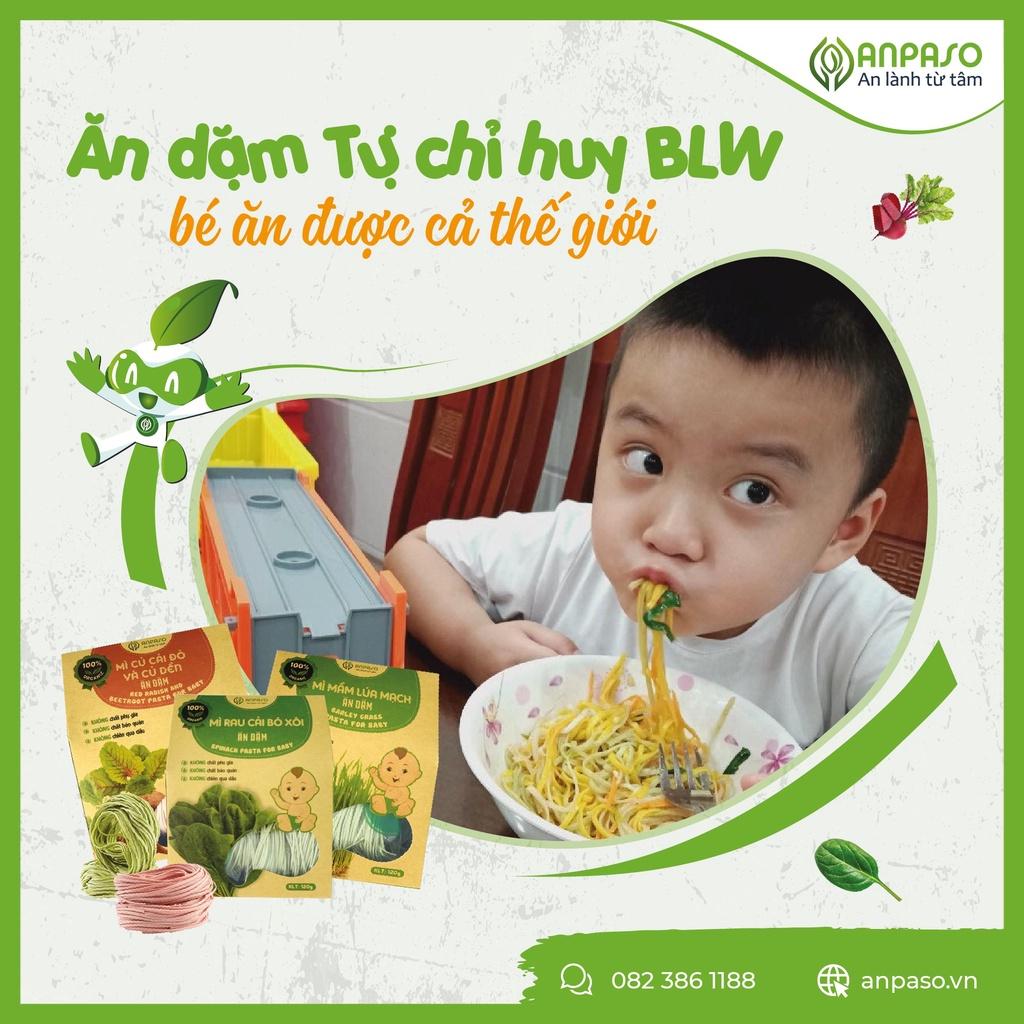 Mì Bí Đỏ Ăn Dặm Anpaso, Organic Bí Đỏ Ăn Dặm kiểu Nhật cho bé từ 7 tháng bổ sung chất xơ, cải thiện táo bón 300g