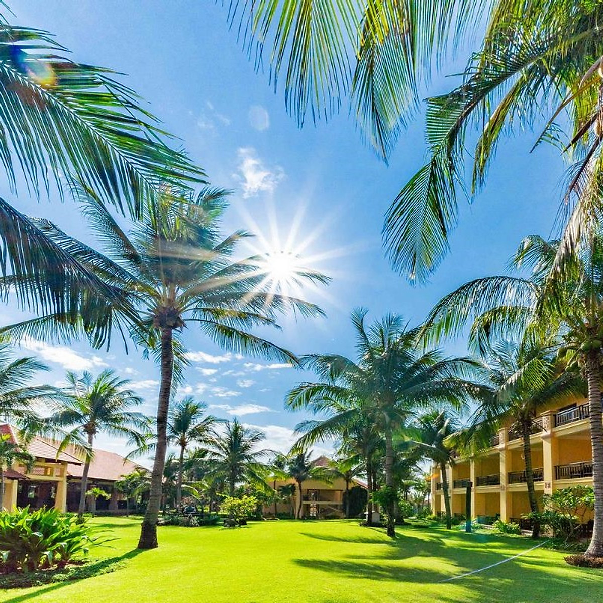 Pandanus Resort 4* Phan Thiết - Buffet Sáng, Hồ Bơi, Bãi Biển Riêng, Voucher Giá Tốt, Khách Sạn Mũi Né, Và Nhiều Ưu Đãi Hấp Dẫn