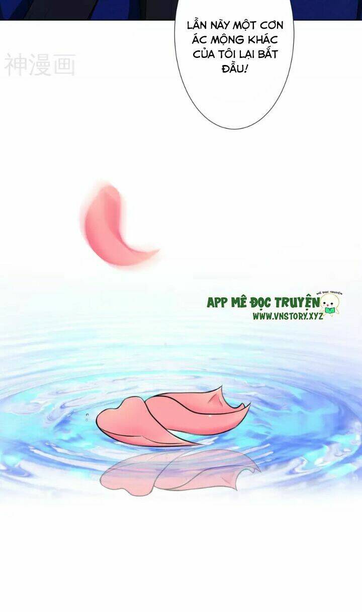 tổng tài đại nhân thật xấu hổ chapter 0 11