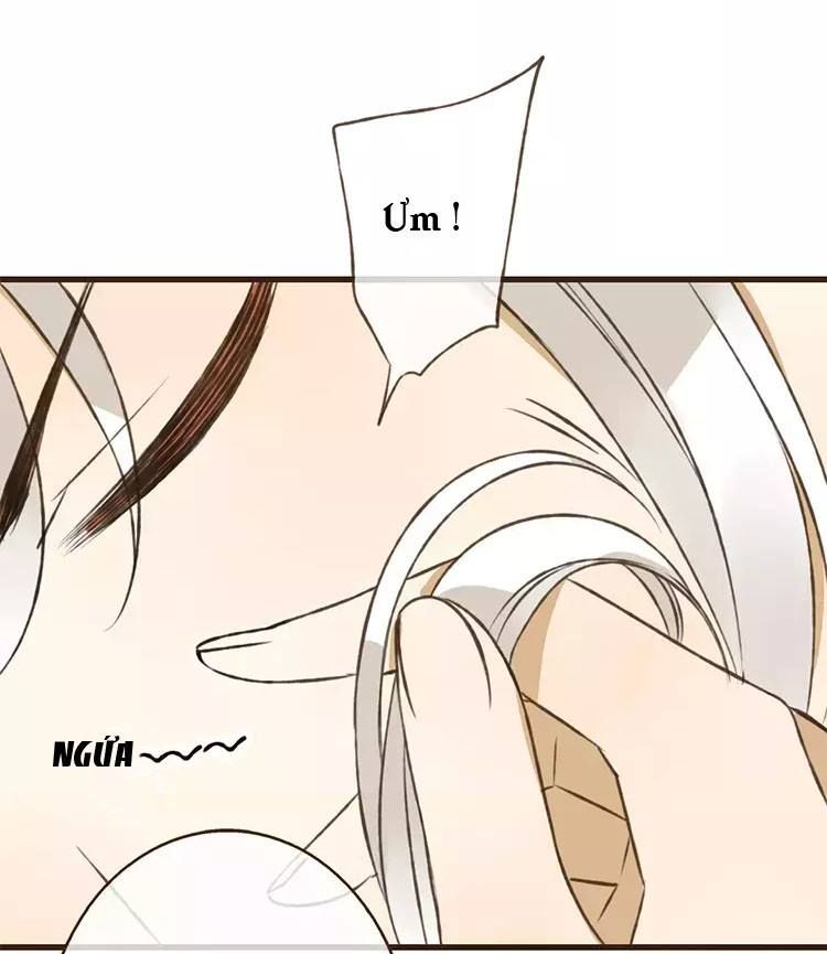 trên trời rớt xuống một hòa thượng ngốc chapter 29 37