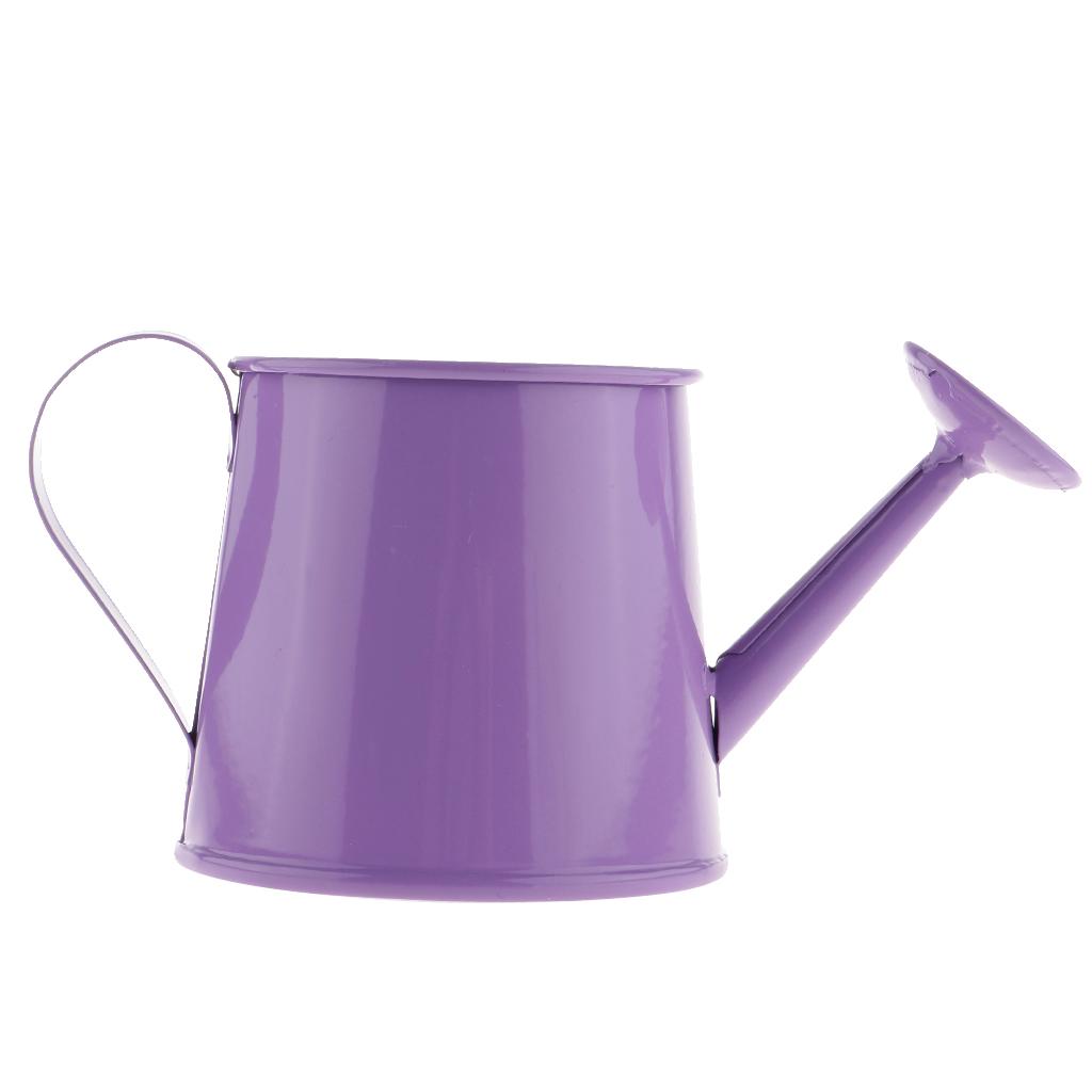 3x Pastoral Style Flower Watering Can Water Pot Sprayer Kettle for Small Plants