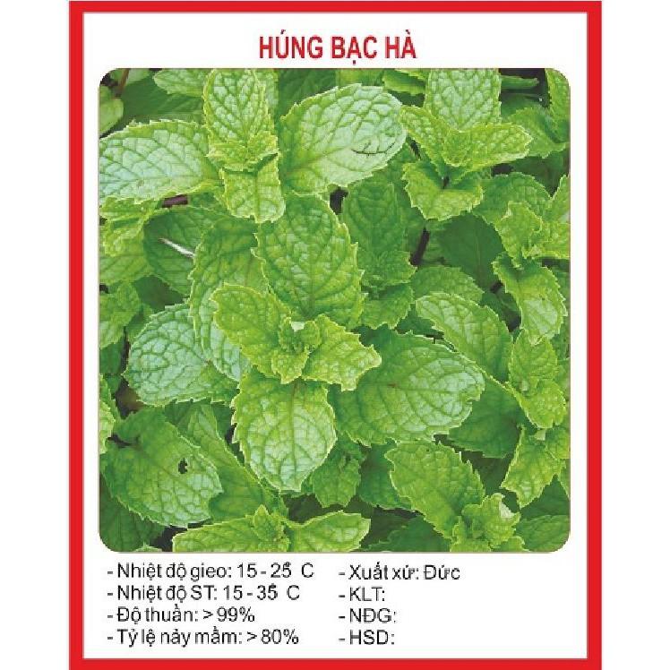 Hạt giống Húng bạc hà – 0.1Gram/gói