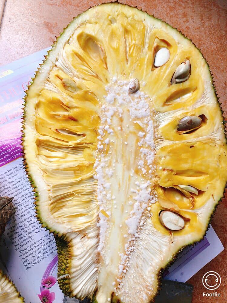 CÂY GIỐNG MÍT DAI TA