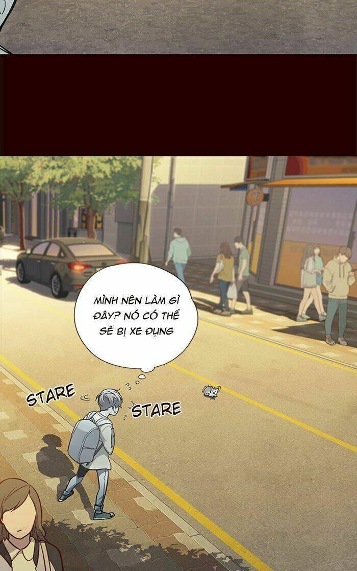 biến thân thành mèo chapter 27 8