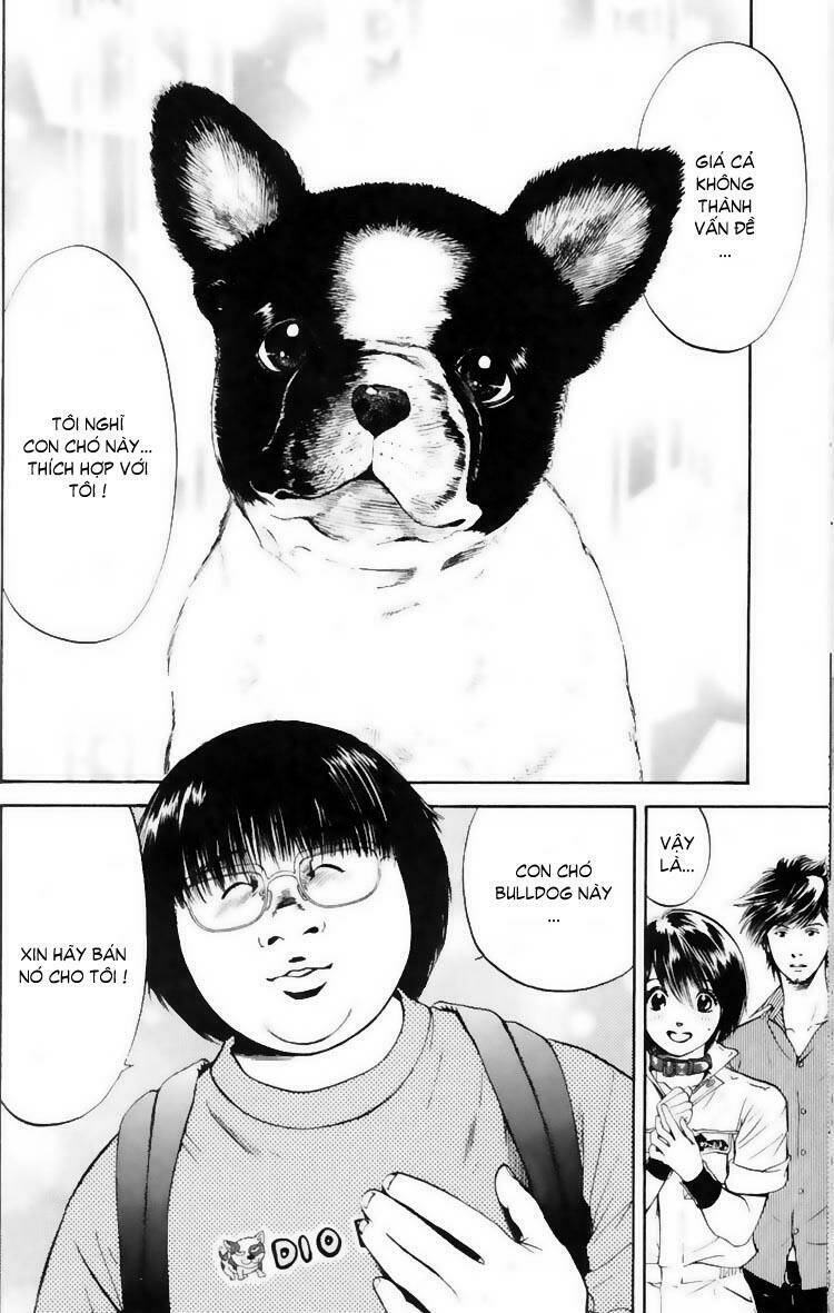 cô nàng yêu chó chapter 10 14