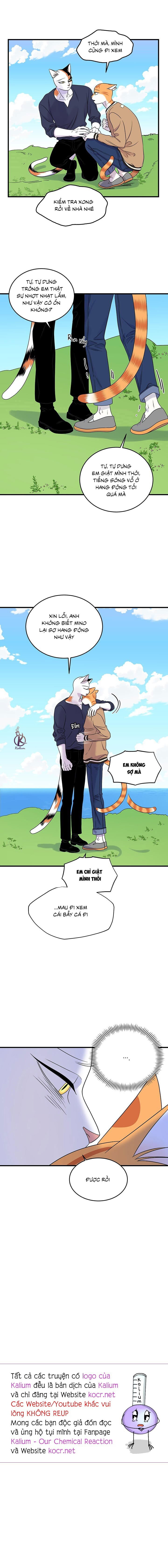 dự án xanh chapter 50 13