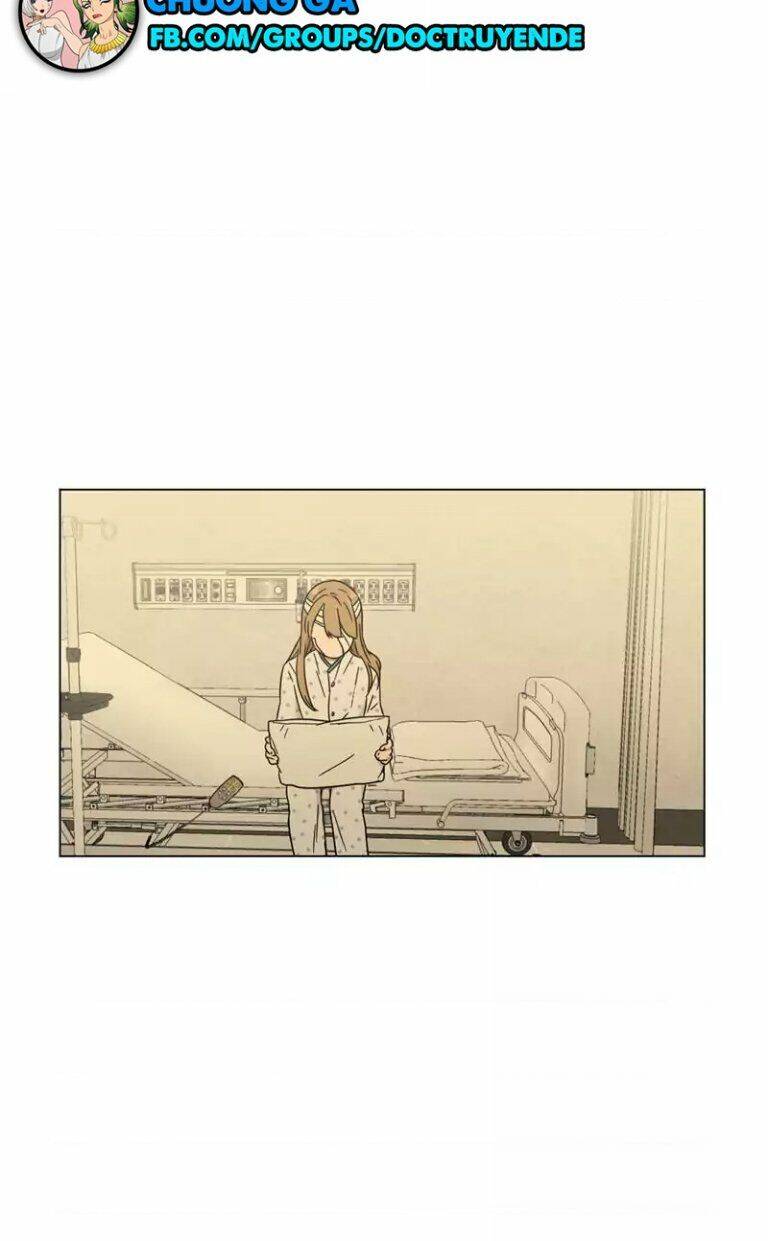 …”một sự thật khá khó chịu.” chapter 50 55