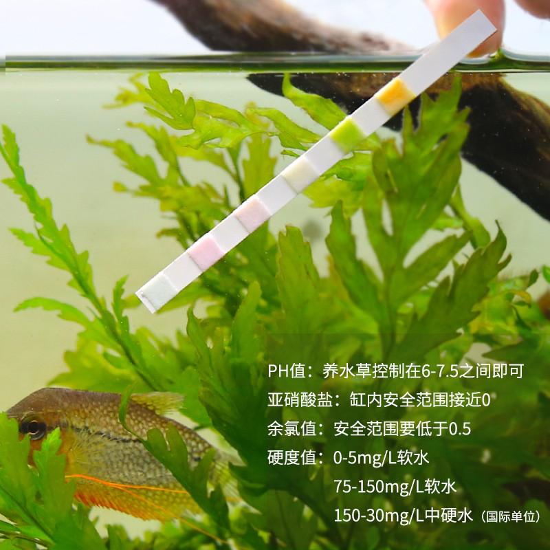 BỘ TEST CHỈ SỐ 6 IN 1 - - Bộ kiểm tra chất lượng nước 6 trong 1 - Shopleo
