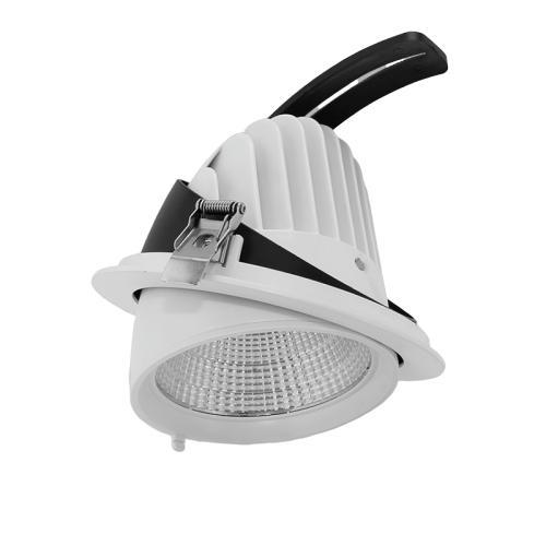 ĐÈN LED DOWNLIGHT ĐIỀU CHỈNH 12W MPE