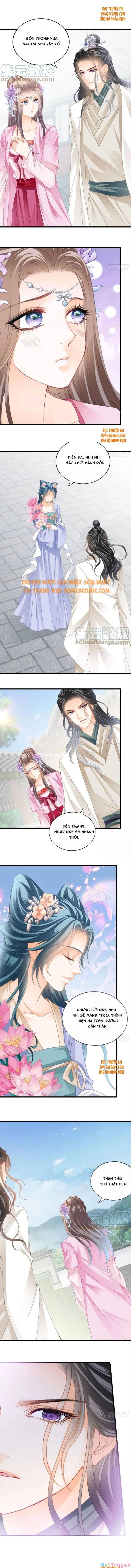 bổn vương muốn nàng chapter 95 5