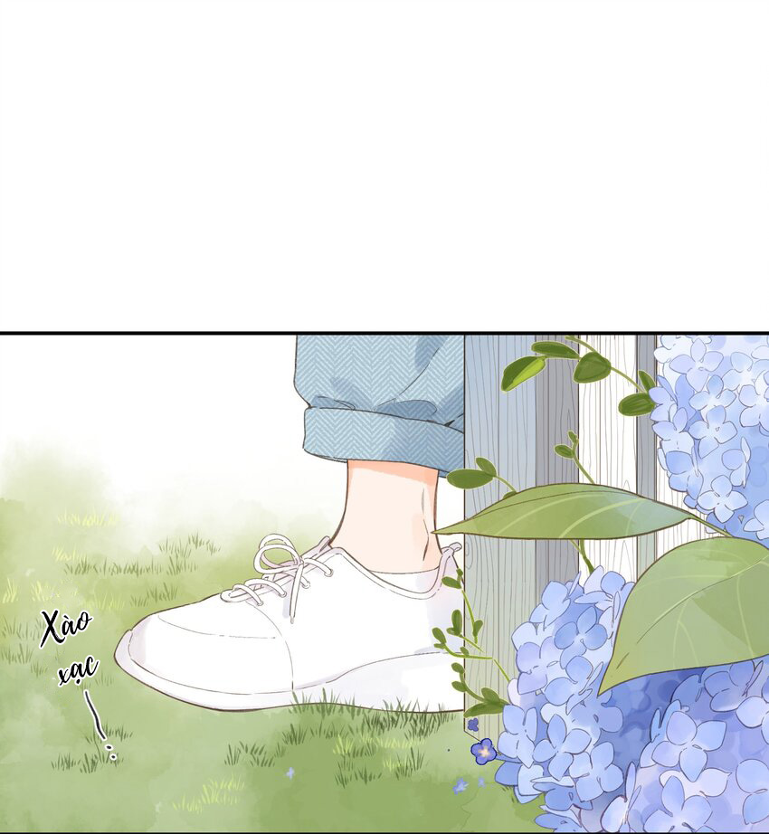 tiệm hoa hướng dương ở góc phố chapter 5 16