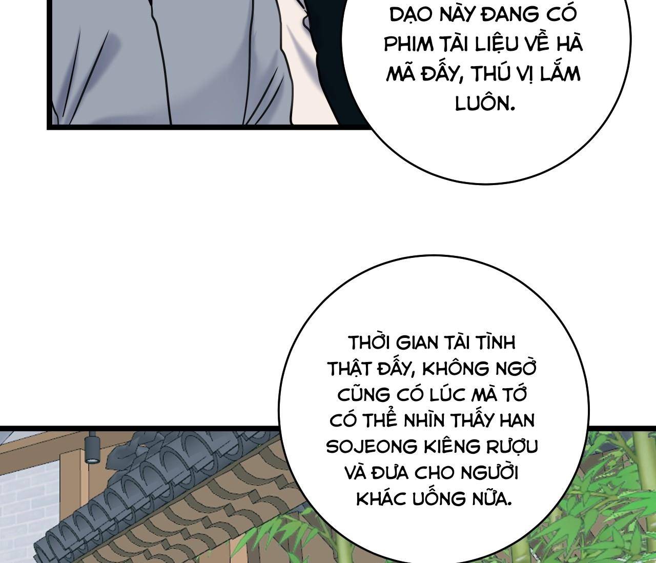 tình yêu bình dị nhất chapter 8 98