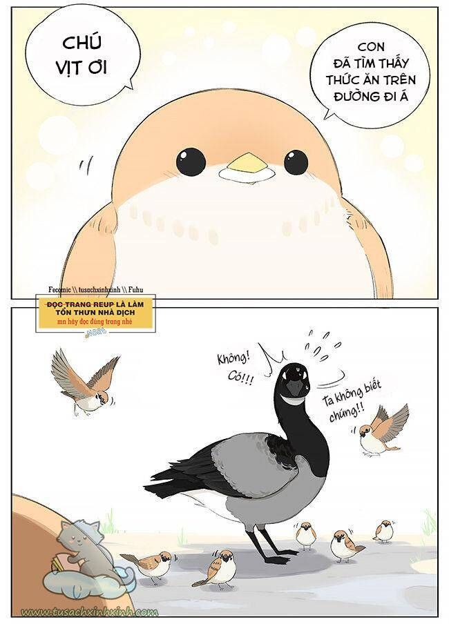 chim sẻ gọi ngỗng trời chapter 9 4