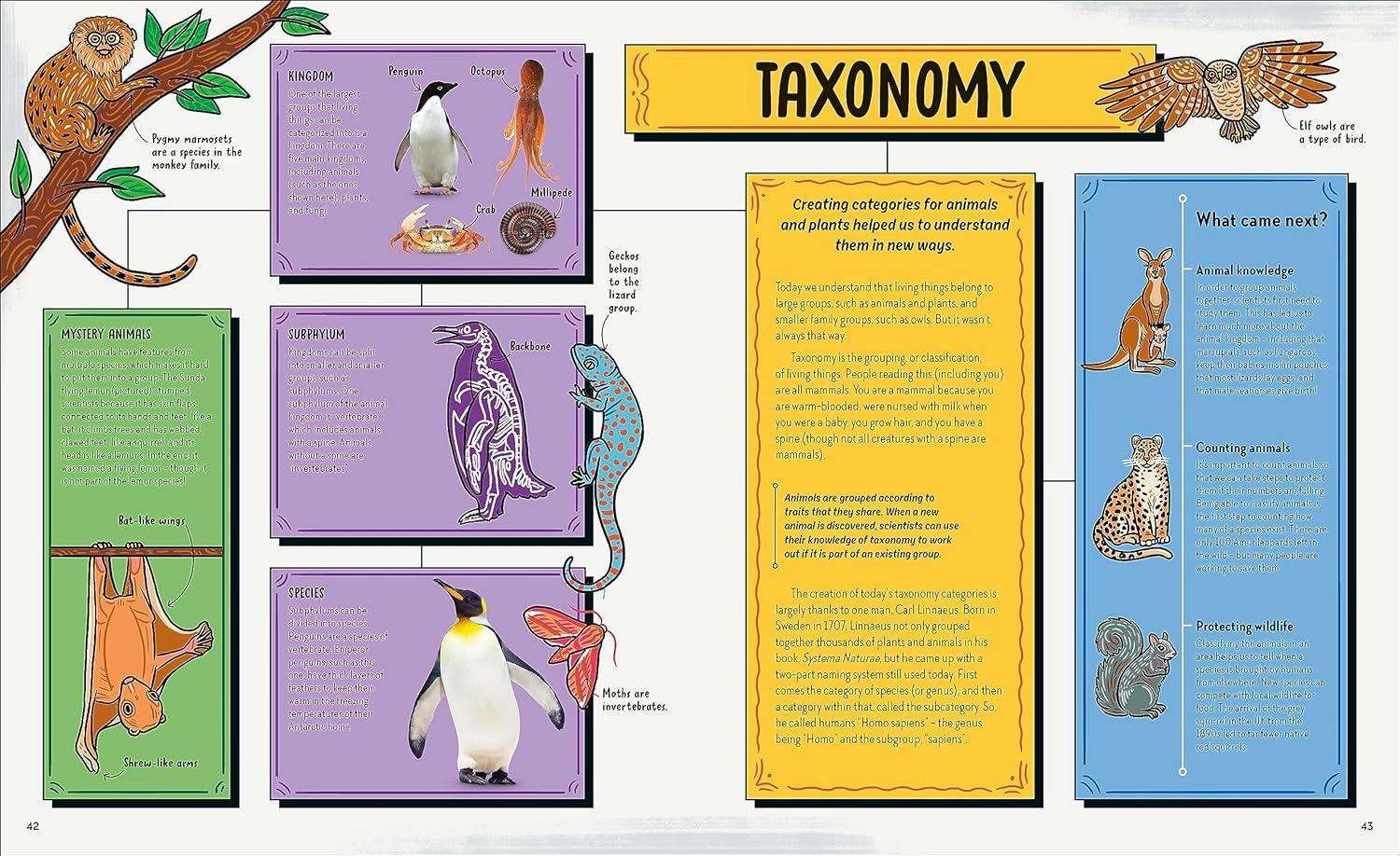 Sách ngoại văn: Robert Winston's Story Of Science