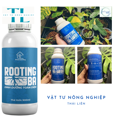 [Siêu kích rễ] Dung Dịch Kích Rễ ROOTING BA Dùng Cho Sen Đá, Kiểng Lá, Hoa Lan Và Cây Cảnh - Chai 500ml