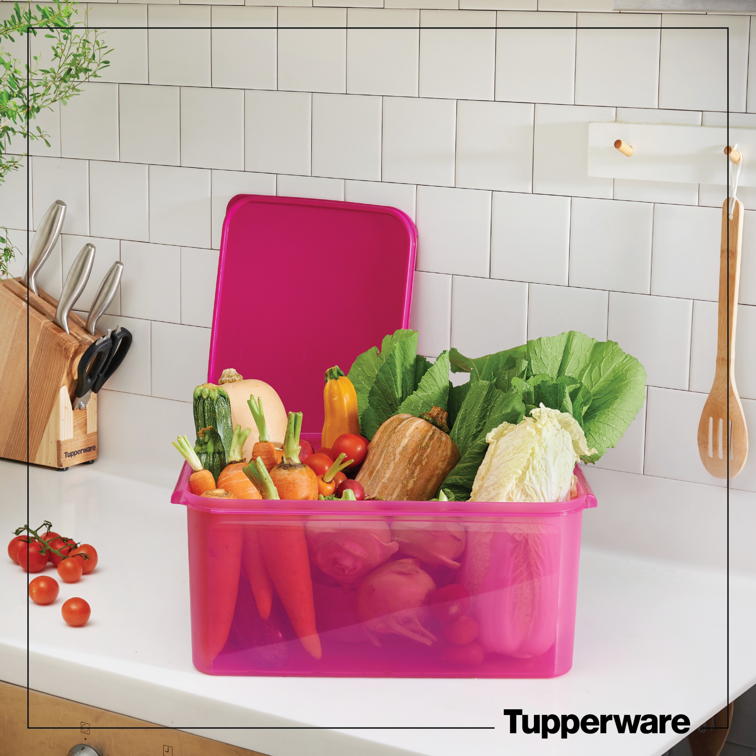 Hộp Bảo Quản Thực Phẩm Tupperware Jumbo Modular Keeper 15L