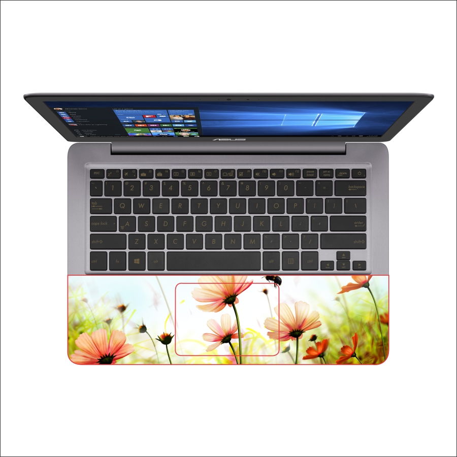 Mẫu Dán Decal Laptop Cực Cool - Mã DCLTCC 142