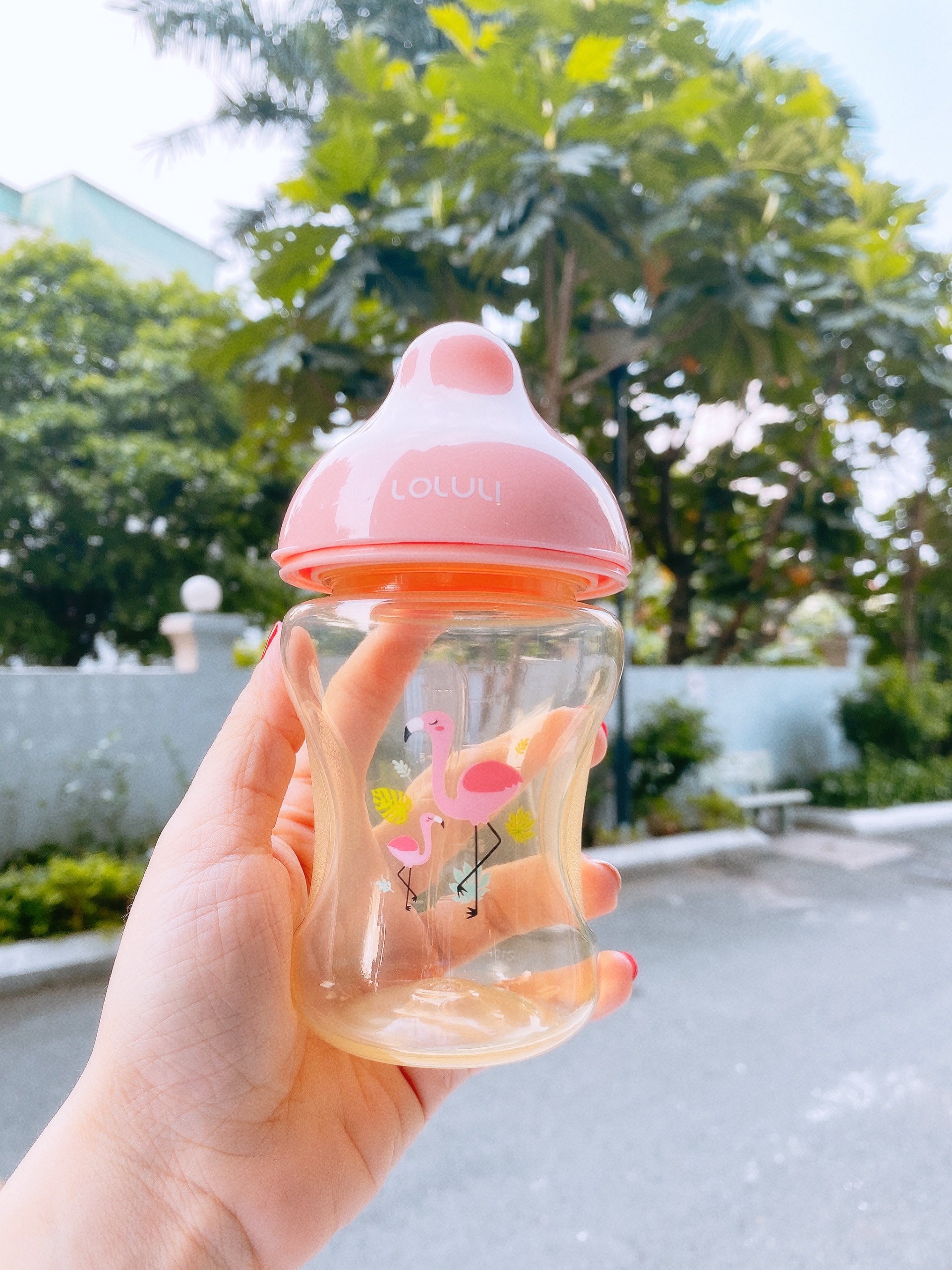 Bình Sữa Loluli PP Cổ Rộng Chống Sặc Cho Bé Chính Hãng - 300ml