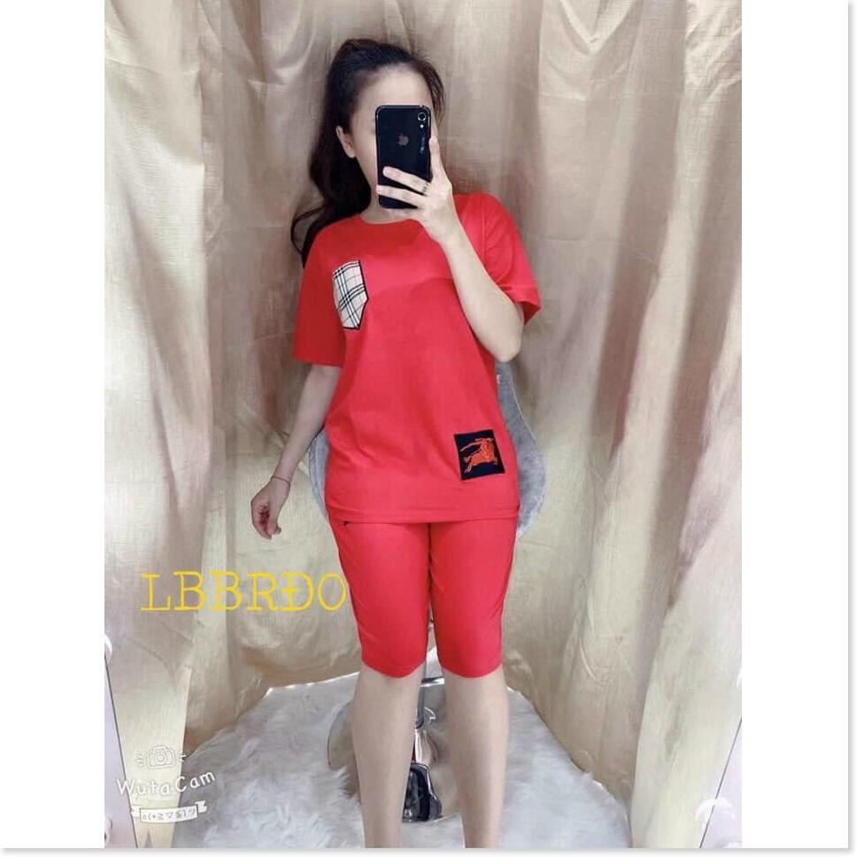 SET BỘ THUN NỮ,THIẾT KẾ HỌA TIẾT XINH XẮN,CHẤT LIỆU VÃI CO GIẢN VÀ MỀM MỊN THỜI TRANG KME.STORE