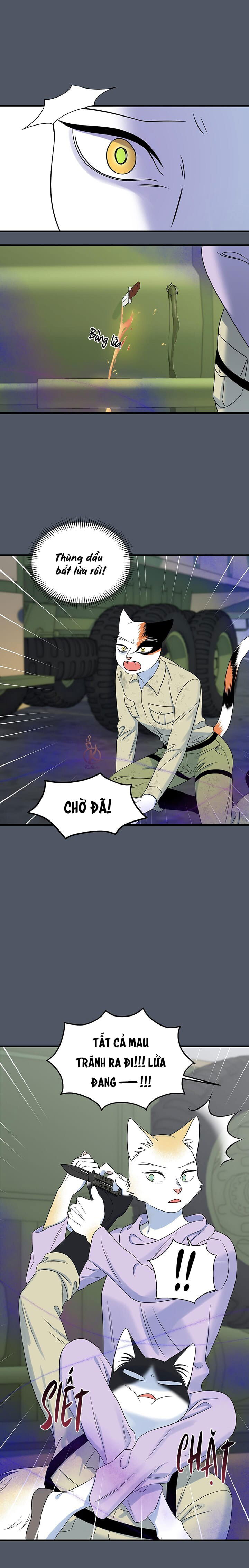 dự án xanh chapter 44 16