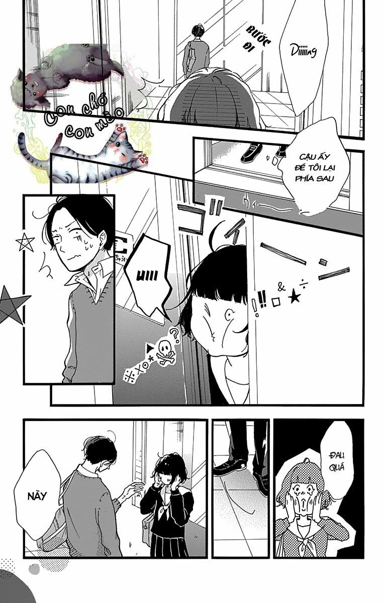 a - answer chapter 1 13