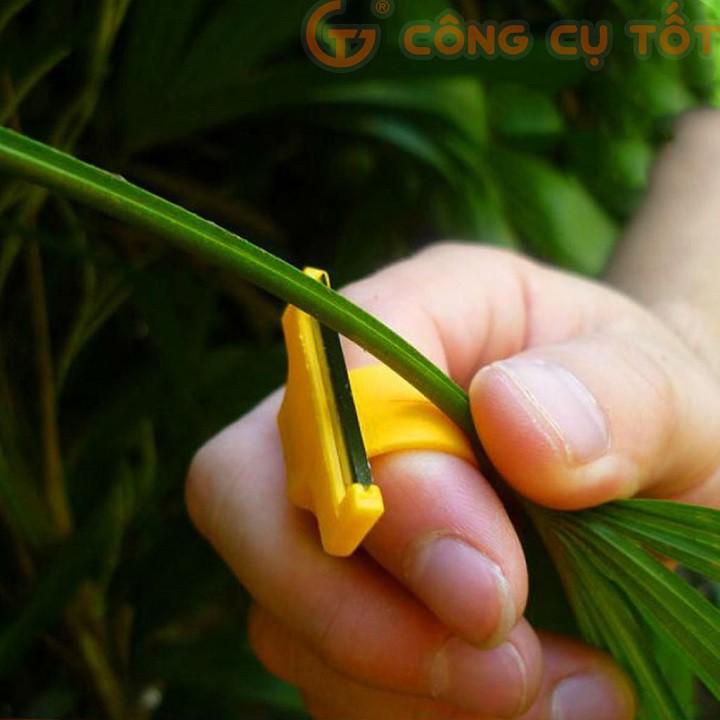 Nhẫn cắt thu hoạch chữ T