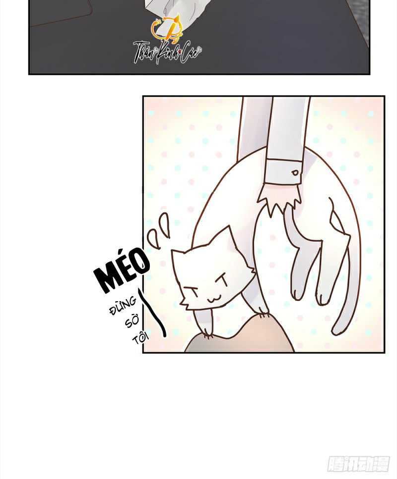 mối tình đầu gian nan của chu thành nhất chapter 24 27