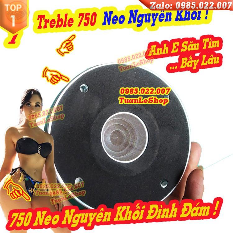 LOA TREBLE 750 NEO NGUYÊN KHỐI - COIL 74,5MM - TREP 750 NEO R C F